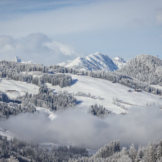 Verschneite Winterlandschaft im Alpbachtal
